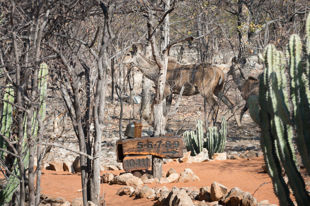 Ongava Tented Camp - All-Inclusive Okaukuejo Extérieur photo