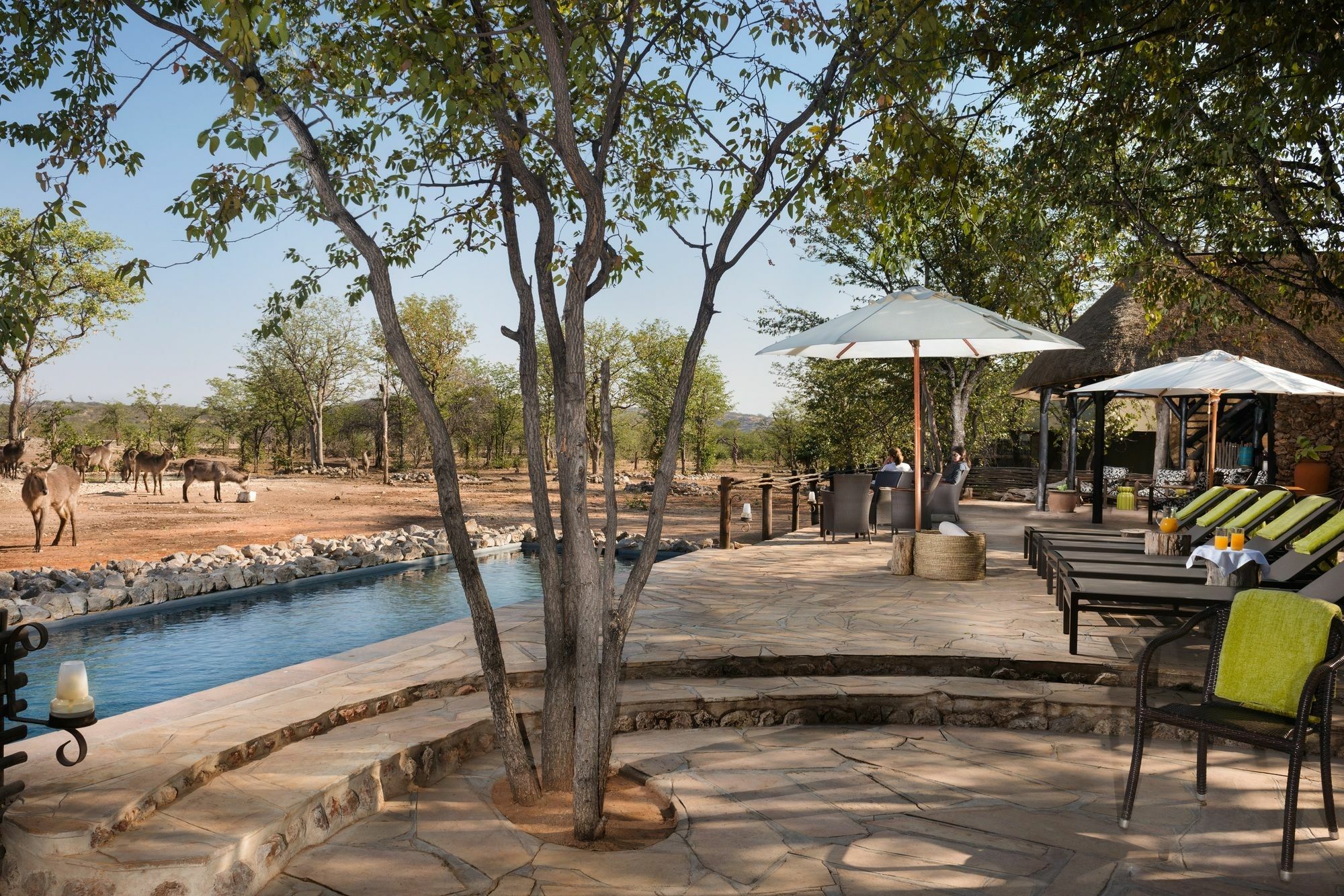 Ongava Tented Camp - All-Inclusive Okaukuejo Extérieur photo
