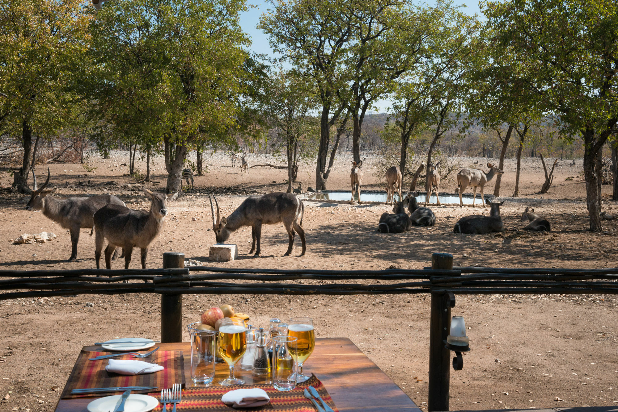 Ongava Tented Camp - All-Inclusive Okaukuejo Extérieur photo